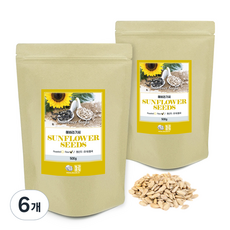 견과공장 해바라기씨, 500g, 6개