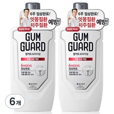 검가드 오리지널 구강세정제, 1200ml, 6개