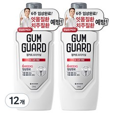 검가드 오리지널 구강청결제, 750ml, 12개