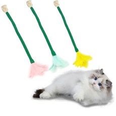 로위드 고양이 조용한 깃털꽃 면줄 이갈이 장난감, 랜덤발송, 3개