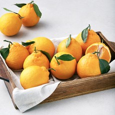 곰곰 당도선별 한라봉 소과10~13입, 2kg, 1박스