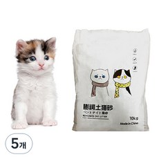 벤토나이트 먼지없는 응고형 고양이 모래, 10kg, 5개, 무향