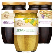 복음자리 배도라지차 470g 2p + 모과차 480g, 1세트