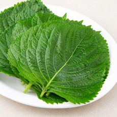 곰곰 GAP인증 밀양 깻잎, 100g, 1봉
