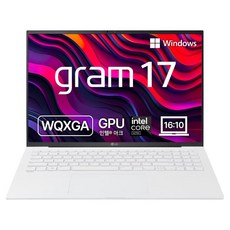 LG전자 2025 그램 17 코어Ultra5, 에센스 화이트, 256GB, 16GB, WIN11 Home, 17Z90S-GA5VK