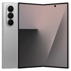 삼성전자 갤럭시 Z폴드7 SM-F966N, 실버 쉐도우, 256GB