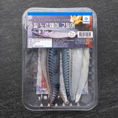 살맛나요 노르웨이산 손질 고등어 구이용 2미 (냉장), 500~600g, 1개