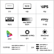 빅트랙 QHD IPS 휴대용 모니터, 40.64cm, 160PM01