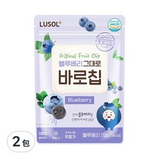 LUSOL 韓國藍莓果乾, 天然冷凍乾燥水果脆片, 12個月以上適用, 20g, 2包
