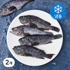 통영원 국내산 손질 우럭 (냉동), 2개, 700g(5미)