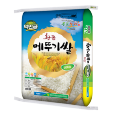 창녕군농협 2021년 햅쌀 황금 메뚜기쌀, 20kg(상등급), 1개