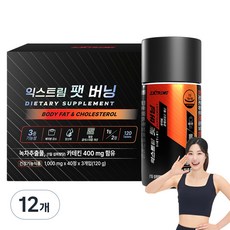 익스트림 팻 버닝 40g, 40정, 12개