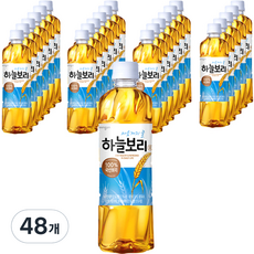 웅진 하늘보리, 500ml, 48개, 보리