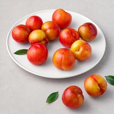 아주마 산지직송 저탄소인증 영동자두, 1.5kg, 1개 1.5kg, 1개