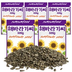 리프패럿 냠냠푸드 소동물 해바라기씨, 500g, 5개