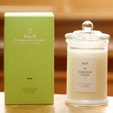 캔들백화점 핸드메이드 심지없는 워머전용 천연 소이 캔들 370ml, 하와이안피치, 290g, 1개