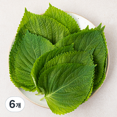 국내산 깻잎, 60g, 6팩