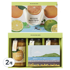 ORGA 제주 돌코롬 과일청 3p, 2개, 단품