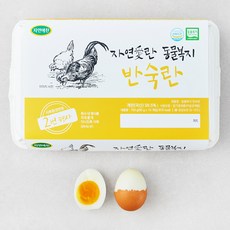 계란한판 추천 1등 제품