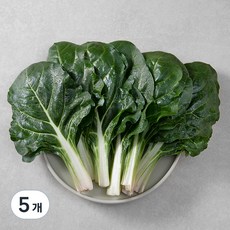 국내산 근대, 150g, 5개 150g, 5개