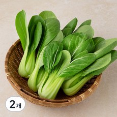 국내산 GAP 청경채, 300g, 2개