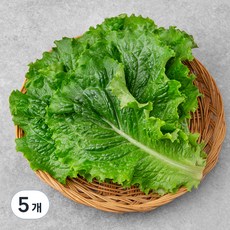 GAP 한끼 청상추, 80g, 5개