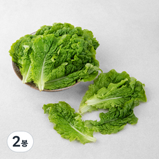 곰곰 국내산 GAP 청상추, 300g, 2봉