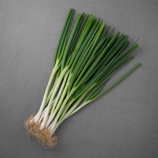 친환경 인증 흙대파, 800g, 1개