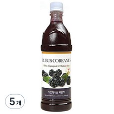 자연에서온 복분자 원액, 900ml, 5개