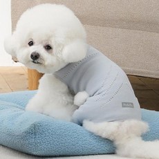 브이랩 강아지 파텔라 올인원 보호의류 SHORT, 라이트블루