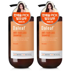 달리프 진저 두피케어 탈모 샴푸 러브피치향, 1000ml, 2개