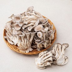 국내산 무농약 느타리버섯, 1kg, 1개