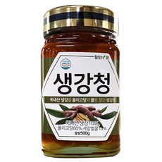 힐링앤팜 도라지청, 500g, 1개입, 군산