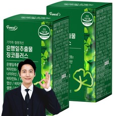 퍼니트 기억력 혈행개선 은행잎추출물 징코플러스 17g, 30정, 2개