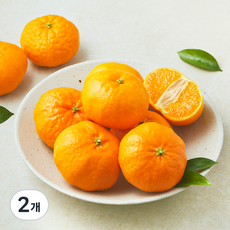 블랙홀 당도선별 레드향, 2개, 1.5kg(꼬마과, 10~15입)