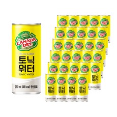 콜라 카나다드라이 토닉워터 250mlx30캔, 250ml, 30개