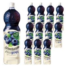 자연은 블루베리 주스, 1.5L, 12개