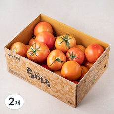 우일팜 GAP 주스용 토마토, 5kg, 2박스
