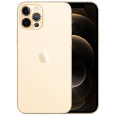 Apple 아이폰 12 Pro 자급제, 골드, 512GB