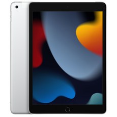 ipad9세대  Apple 아이패드 10.2 2021년 9세대 실버 256GB Wi-Fi+Cellular 