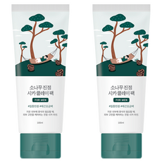 라운드랩 포 맨 소나무 진정 시카 클레이 팩 100ml, 2개, 1개입