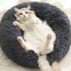 스테이마약방석
