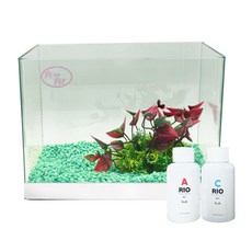 로라펫 자연 가습기 어항 + 인조수초 + 컬러스톤 + 박테리아 + 물갈이제, 에메랄드 민트(컬러스톤), 랜덤발송(인조수초), 1개