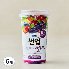 썬업 과일야채 샐러드주스 퍼플, 190ml, 6개