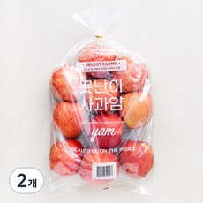 셀렉트팜 못난이 사과얌 yam 중과, 3kg(14입내), 2개