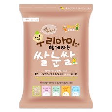 나노현미