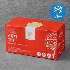 오늘의일상 스무디 자몽 240g (냉동), 1200g, 1개