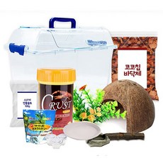  로라펫 코코칩 바닥재 챔프 젤리 소라게 키우기 세트, 혼합색상 