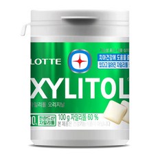 자일리톨 껌 오리지날 용기, 100g, 1개