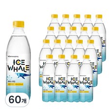 (광동 직영) 아이스웨일 500ml 이천